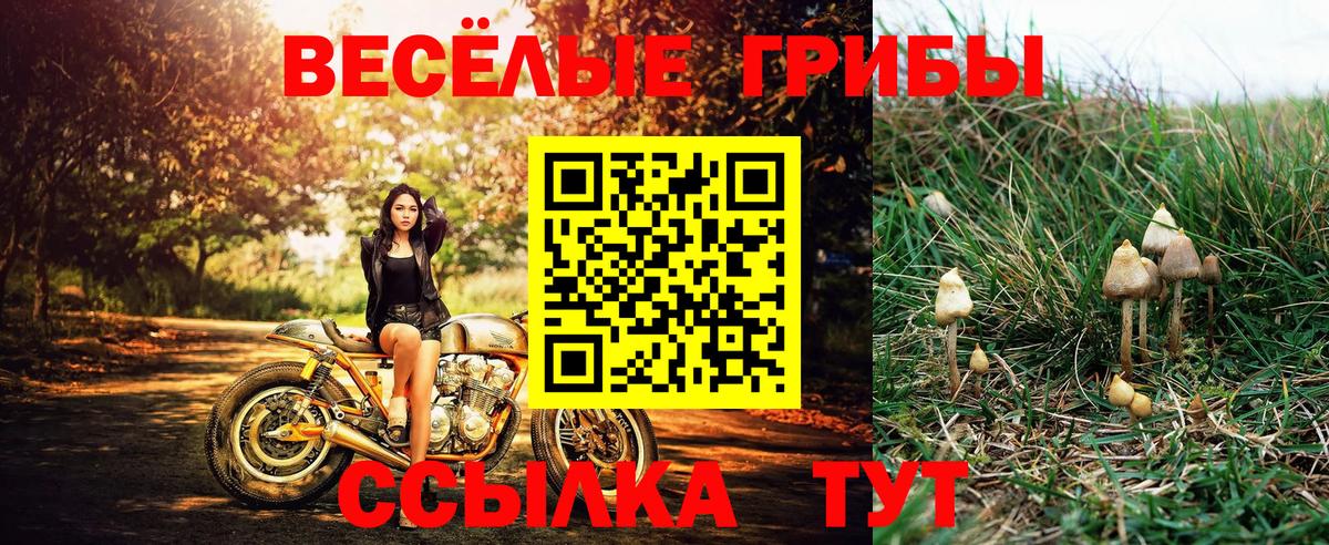 Псилоцибиновые грибы ЛСД Полысаево